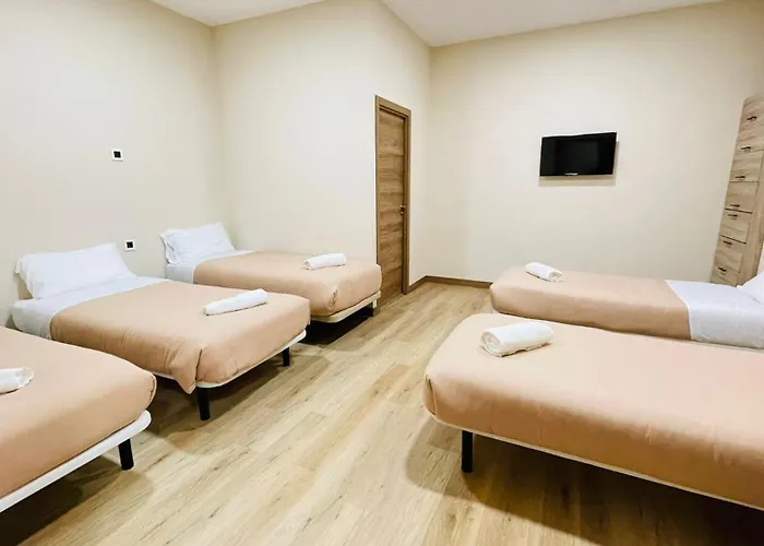 Optimus Comfort Campoamor 101