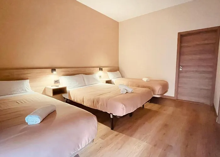 Optimus Comfort Campoamor 101